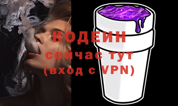 гашик Новодвинск