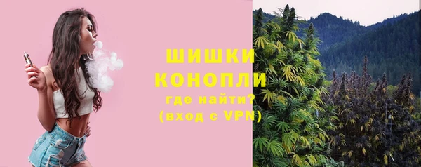 прущие крисы Новозыбков