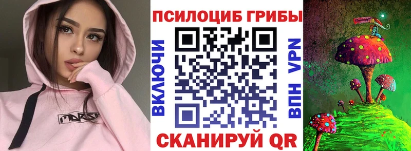 наркотики  Шенкурск  Псилоцибиновые грибы GOLDEN TEACHER 