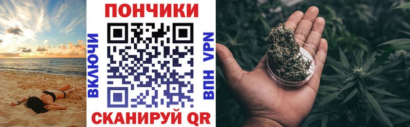 Шишки марихуана сатива  Шенкурск 